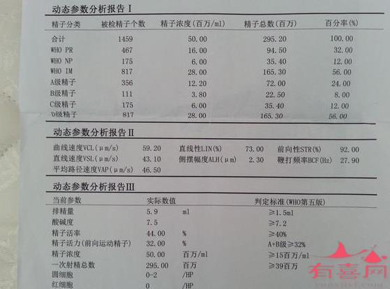 精子测试多少钱