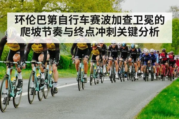 road cycling peloton race