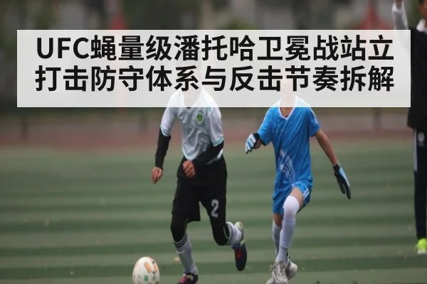 UFC蝇量级潘托哈卫冕战站立打击防守体系与反击节奏拆解